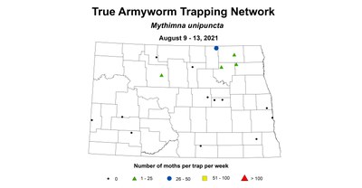 armyworm