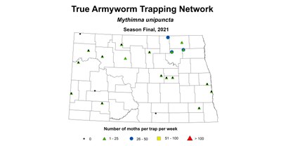 armyworm