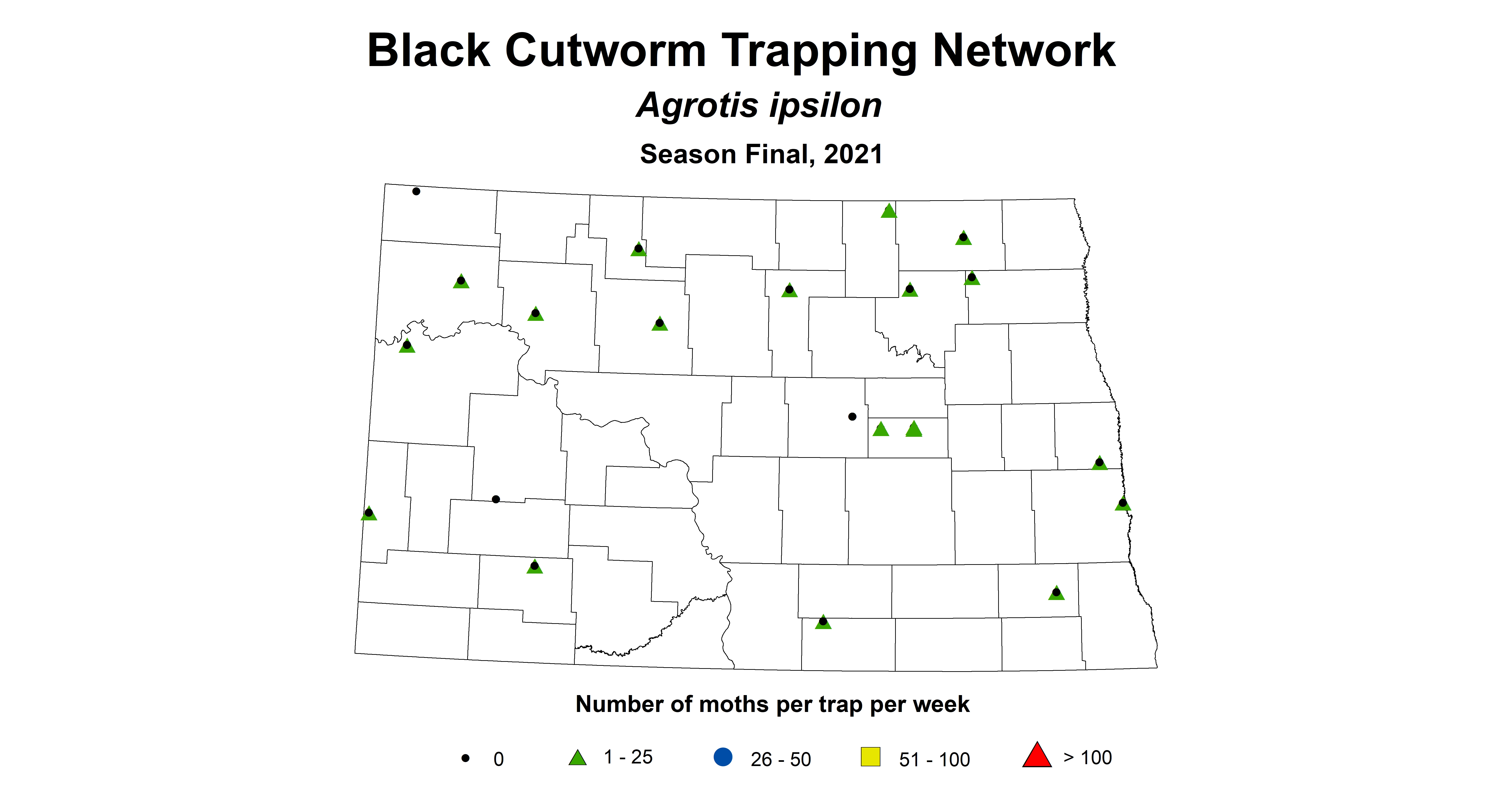 cutworm