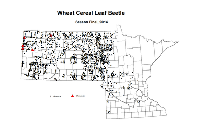 2014 Season Final Wheat Cereal Leaf Beetle