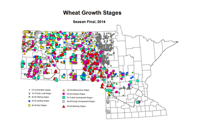 2014 Season Final Wheat GrowthStages ZGS