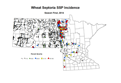 2014 Season Final Wheat SSP Inc
