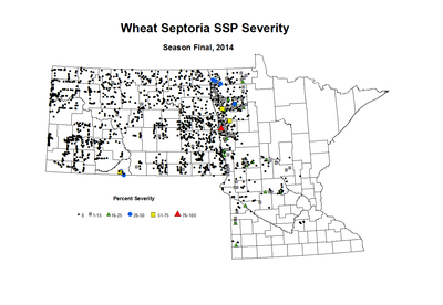 2014 Season Final Wheat SSP Sev