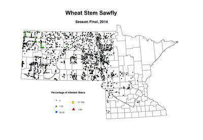 2014 Season Final Wheat Stem Sawfly