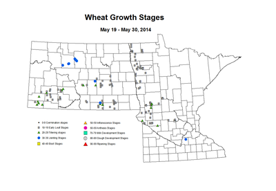 5 19 5 30 Wheat GrowthStages ZGS