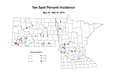 5 19 5 30 Wheat TS Inc