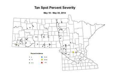 5 19 5 30 Wheat TS Sev