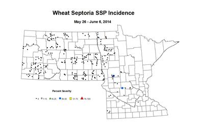 5 26 6 6 Wheat SSP Inc