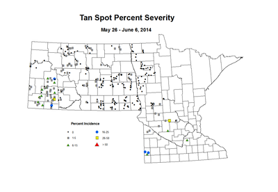 5 26 6 6 Wheat TS Sev