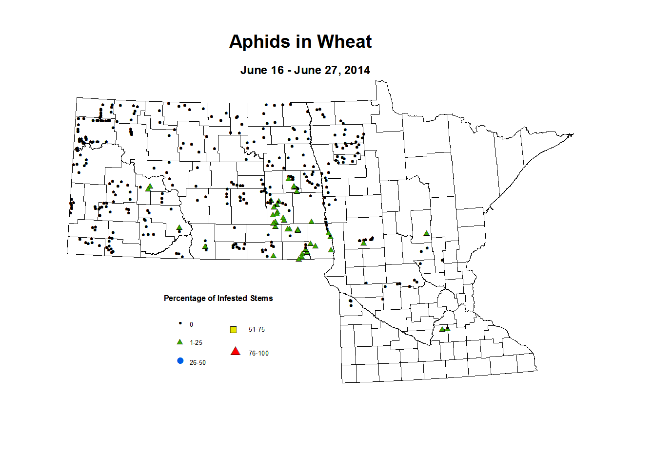 6 16 6 27 Wheat Aphid Tillers
