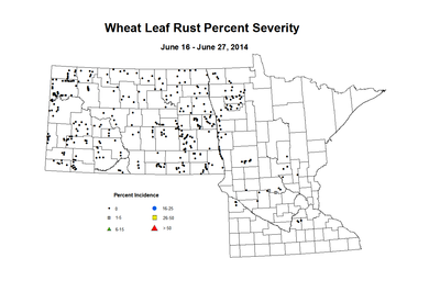 6 16 6 27 Wheat LR Sev