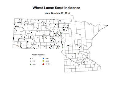 6 16 6 27 Wheat LS Inc