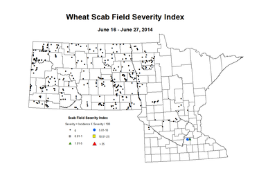 6 16 6 27 Wheat Scab Index