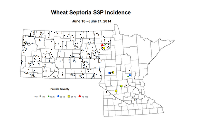 6 16 6 27 Wheat SSP Inc