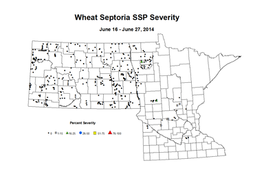 6 16 6 27 Wheat SSP Sev