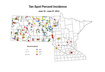 6 16 6 27 Wheat TS Inc