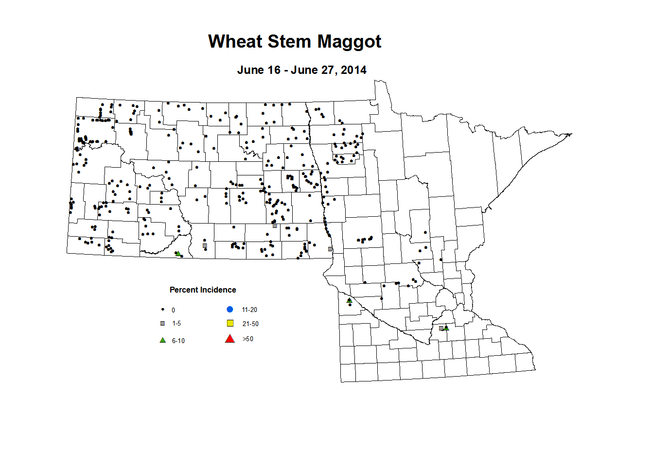6 16 6 27 Wheat WS Maggot