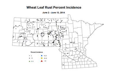 6 2 6 13 Wheat LR Inc