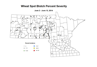 6 2 6 13 Wheat SB Sev
