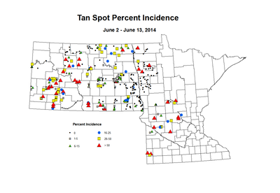 6 2 6 13 Wheat TS Inc