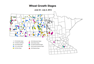 6 23 7 4 Wheat GrowthStages ZGS