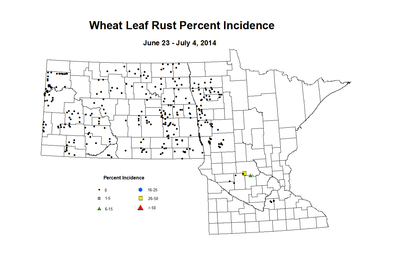6 23 7 4 Wheat LR Inc