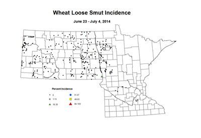 6 23 7 4 Wheat LS Inc