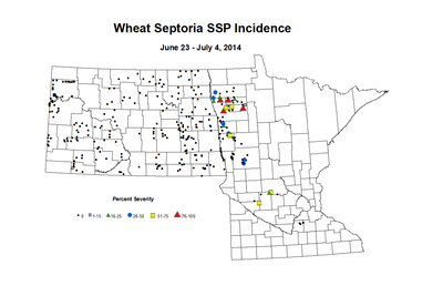 6 23 7 4 Wheat SSP Inc