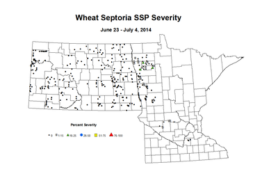6 23 7 4 Wheat SSP Sev