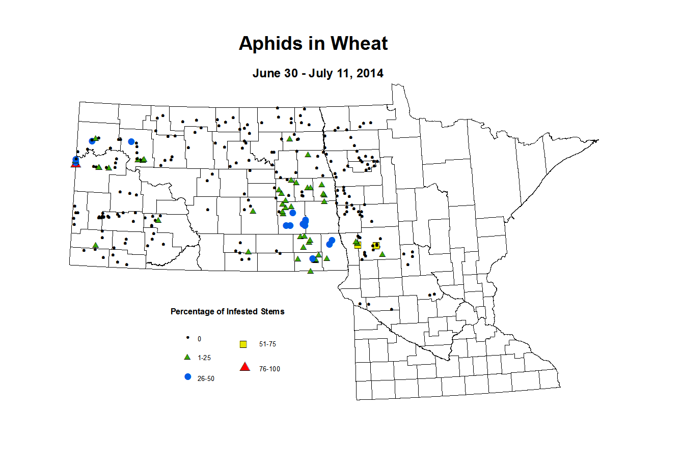 6 30 7 11 Wheat Aphid Tillers