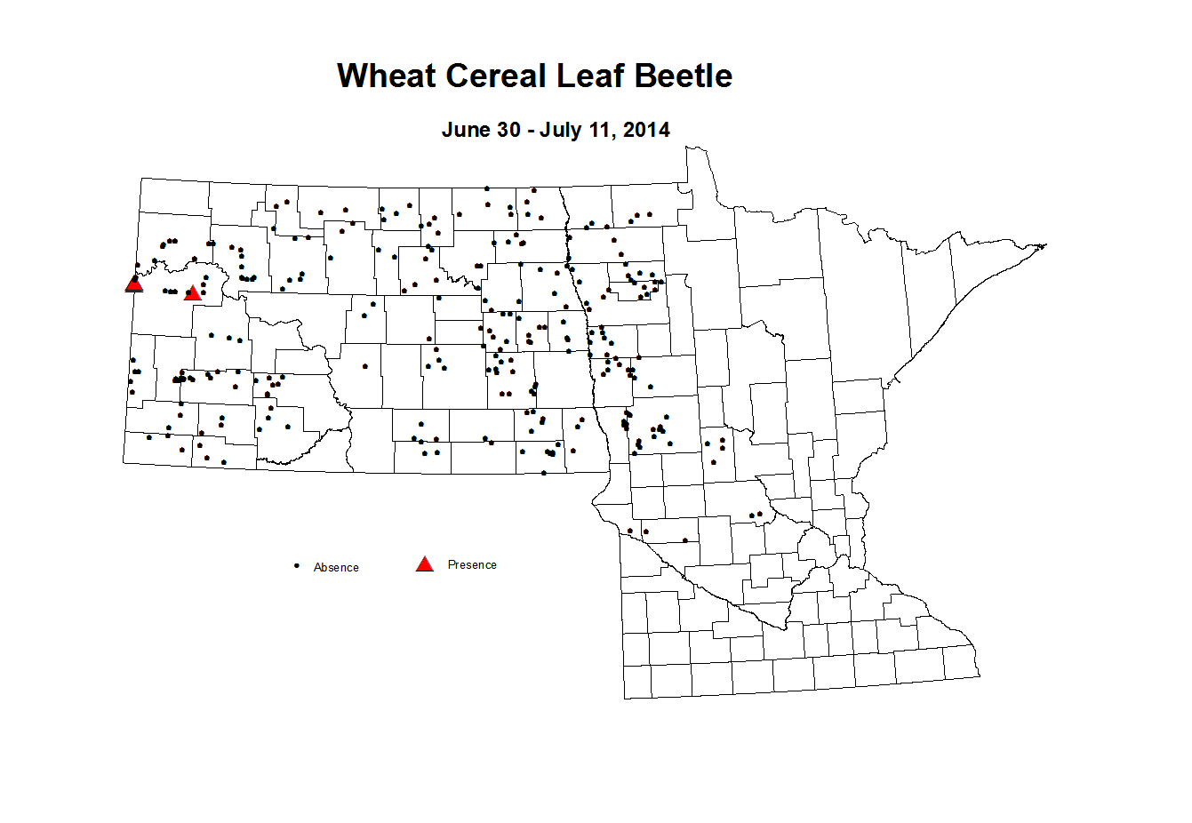 6 30 7 11 Wheat Cereal Leaf Beetle