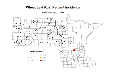 6 30 7 11 Wheat LR Inc