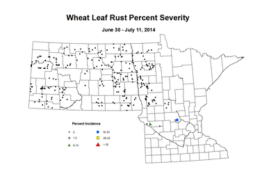 6 30 7 11 Wheat LR Sev