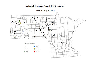 6 30 7 11 Wheat LS Inc