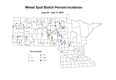 6 30 7 11 Wheat SB Inc
