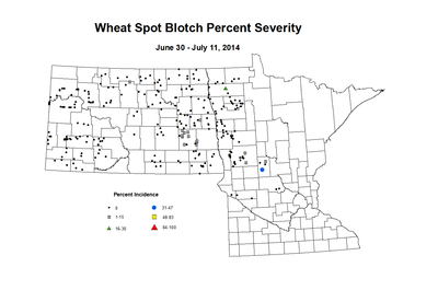 6 30 7 11 Wheat SB Sev