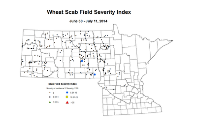 6 30 7 11 Wheat Scab Index