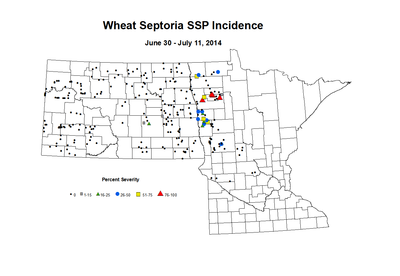 6 30 7 11 Wheat SSP Inc