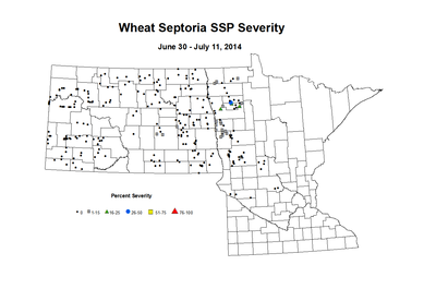 6 30 7 11 Wheat SSP Sev