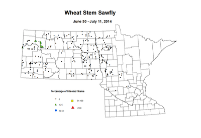 6 30 7 11 Wheat Stem Sawfly