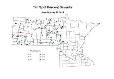 6 30 7 11 Wheat TS Sev