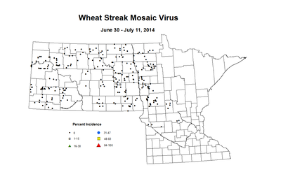 6 30 7 11 Wheat WSMV Inc