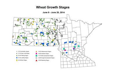 6 9 6 20 Wheat GrowthStages ZGS