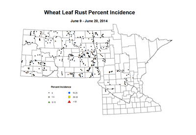 6 9 6 20 Wheat LR Inc