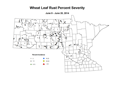 6 9 6 20 Wheat LR Sev