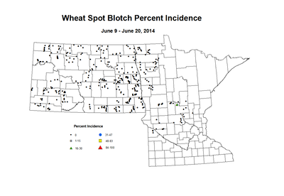 6 9 6 20 Wheat SB Inc