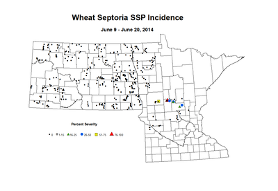 6 9 6 20 Wheat SSP Inc
