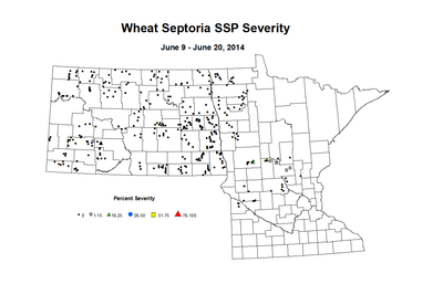 6 9 6 20 Wheat SSP Sev