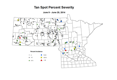 6 9 6 20 Wheat TS Sev