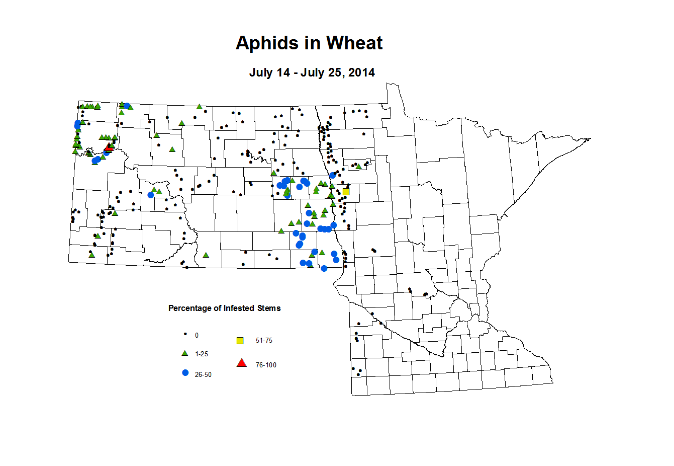 7 14 7 25 Wheat Aphid Tillers
